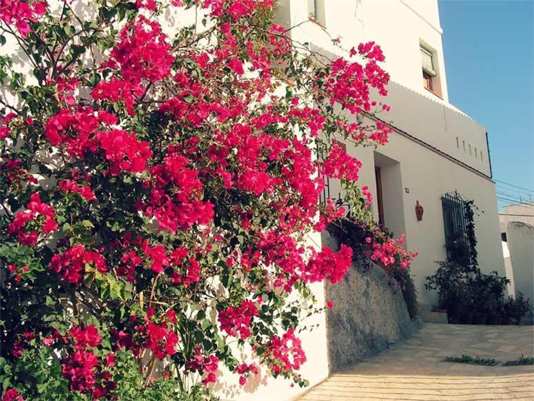 דירות Jardines Del Mar Salobreña מראה חיצוני תמונה